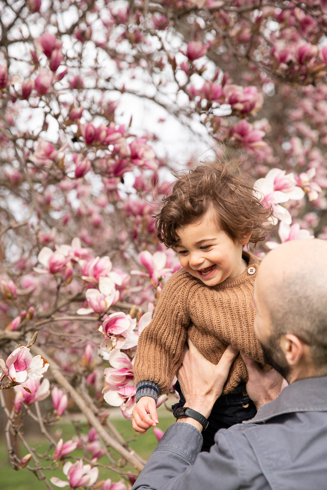 father lifts baby boy into air with magnolia tree in the background, baby boy smiles