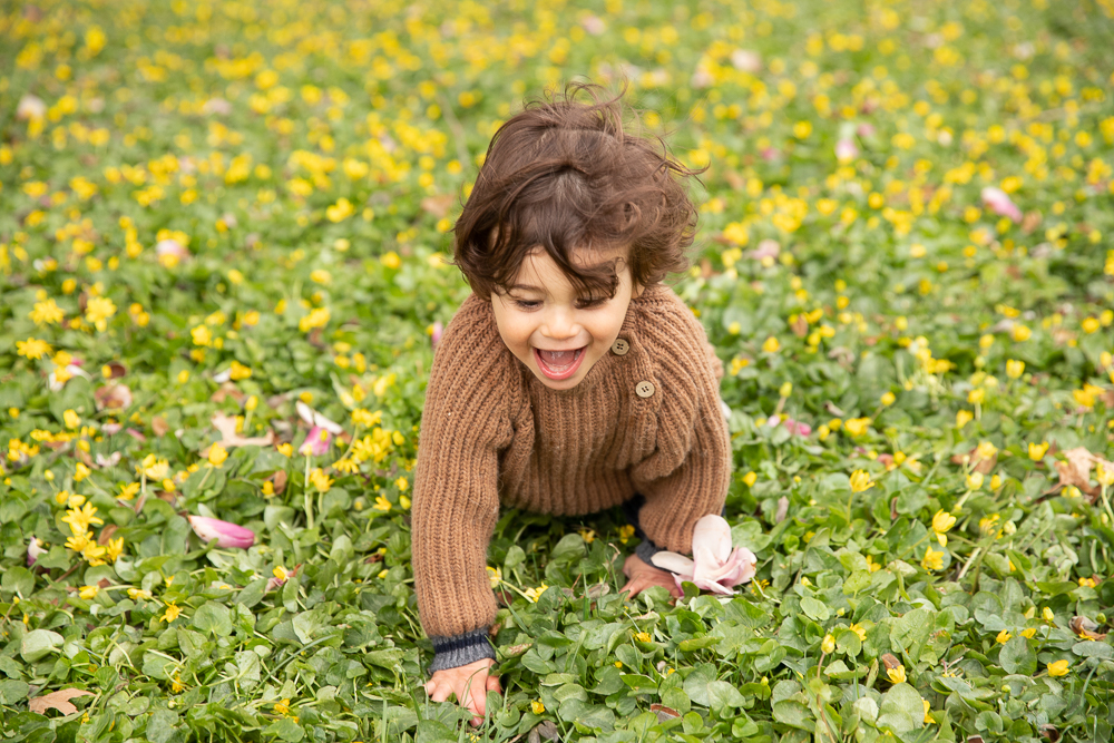 baby boy crawls toward camera in a field of yellow spring flowers looking down towards the ground in the Hudson Valley, NY